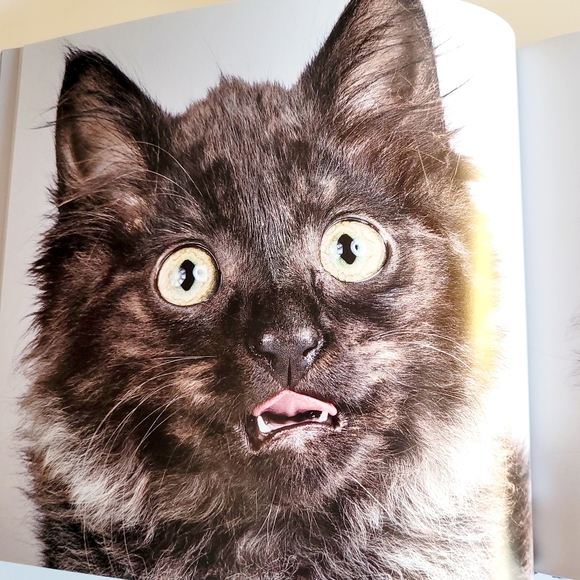Shake Cats ● Lick Cats Book By Carli Davidson - Hardcover - Picture 8 of 12
